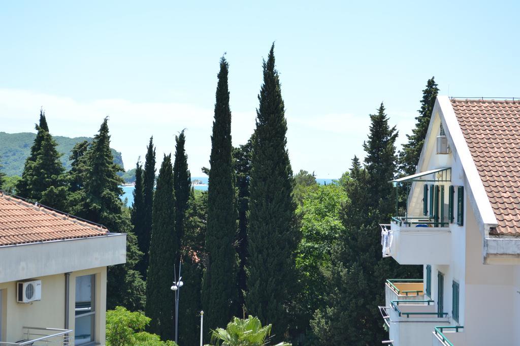 Hotel Kangaroo Μπούντβα Εξωτερικό φωτογραφία